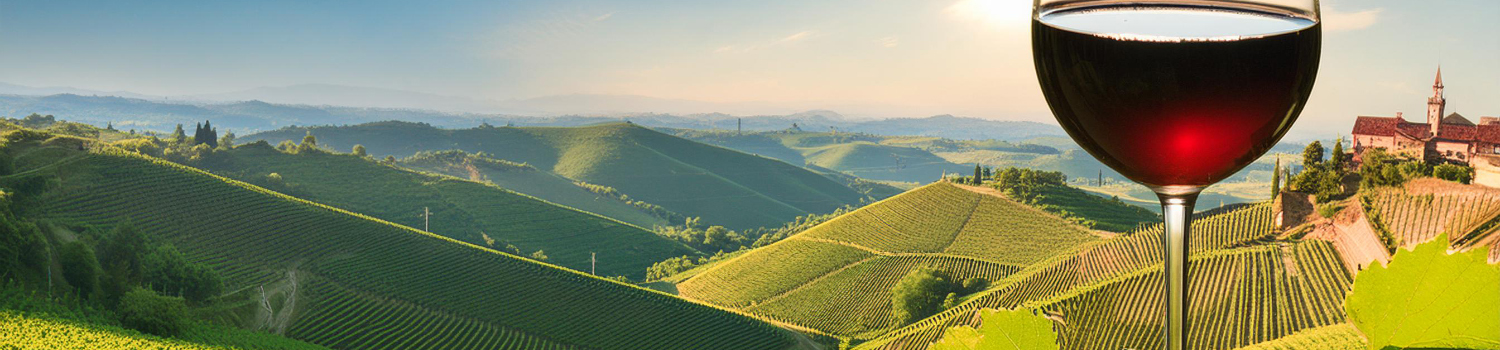 sklenice na Barolo